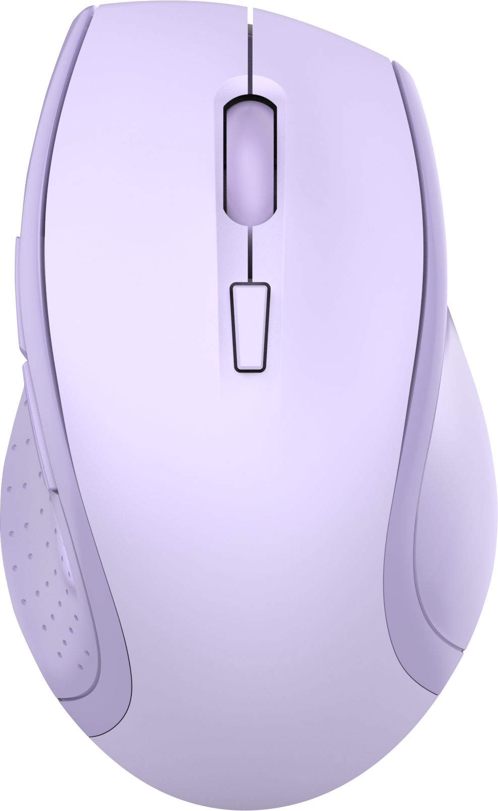 Large size ergonomic mouse