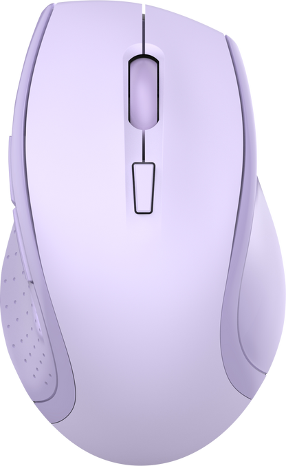 Large size ergonomic mouse