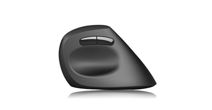 Ergonomic mouse