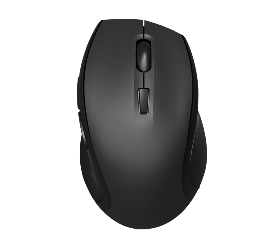 Large size ergonomic mouse