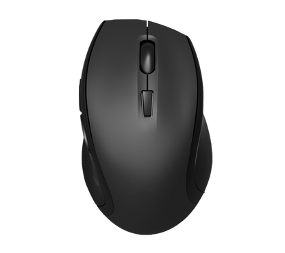 Large size ergonomic mouse